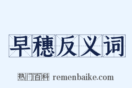 早穗反义词是什么意思的图片